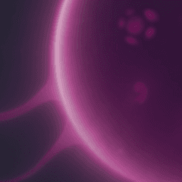 テンポ・プリモ